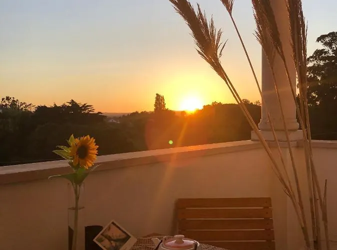 Casa Artelena 게스트하우스