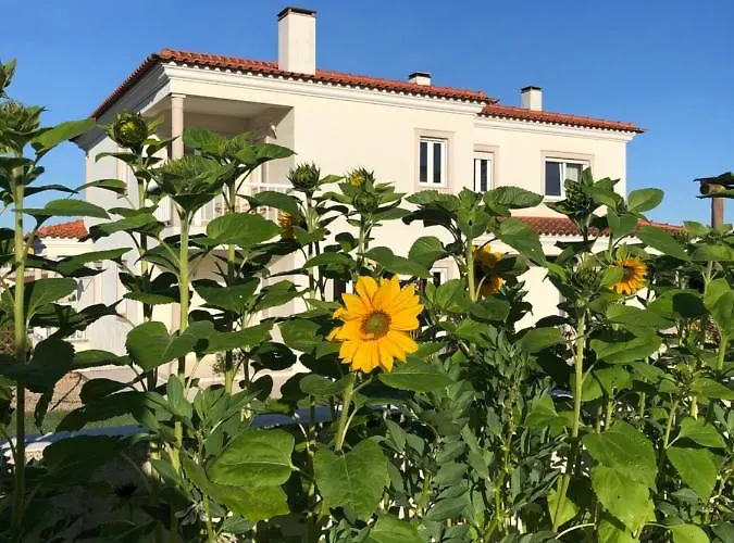 Casa Artelena 게스트하우스